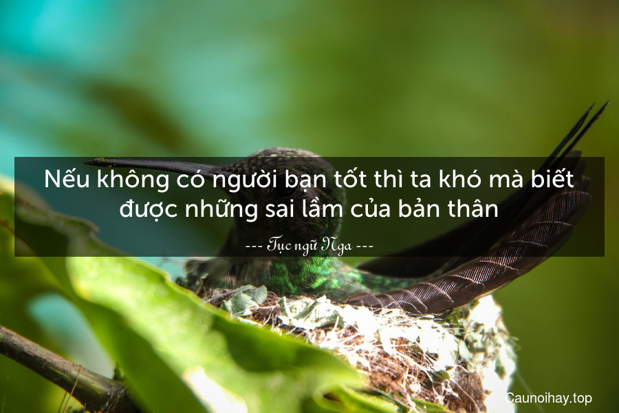 Nếu không có người bạn tốt thì ta khó mà biết được những sai lầm của bản thân.