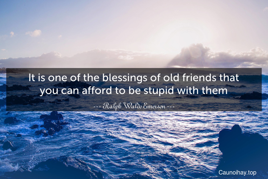 It is one of the blessings of old friends that you can afford to be stupid with them.