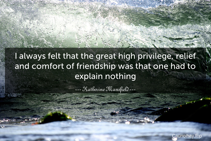 I always felt that the great high privilege, relief and comfort of friendship was that one had to explain nothing.