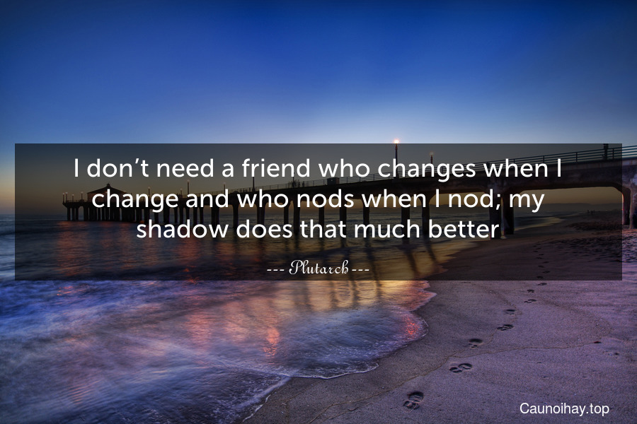I don’t need a friend who changes when I change and who nods when I nod; my shadow does that much better.