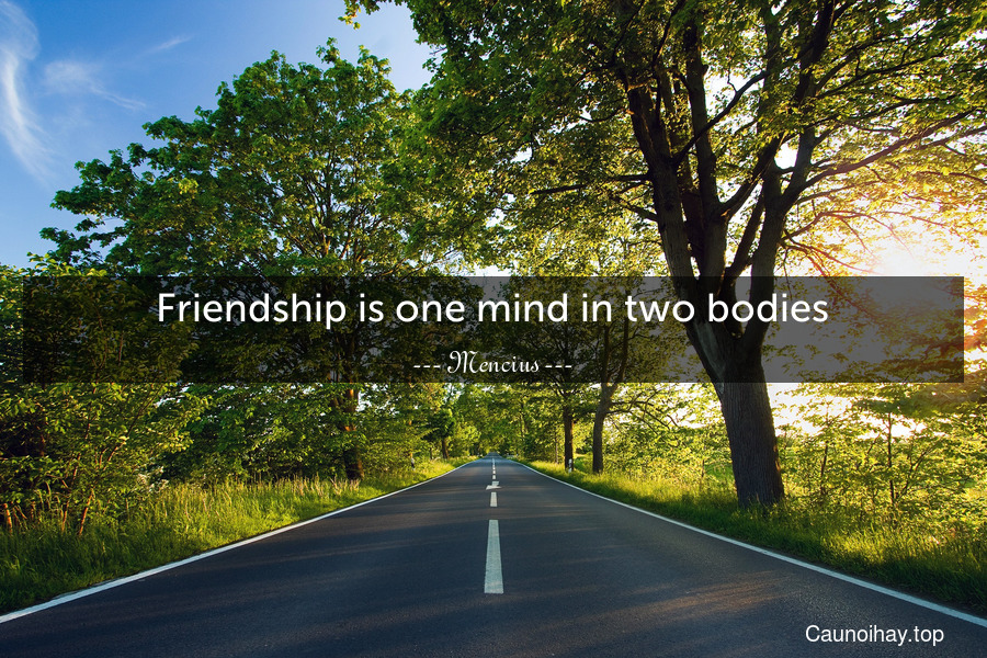 Friendship is one mind in two bodies.