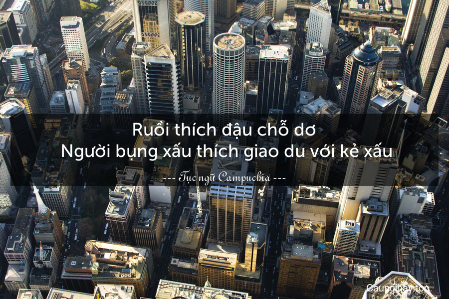 Ruồi thích đậu chỗ dơ. Người bụng xấu thích giao du với kẻ xấu.