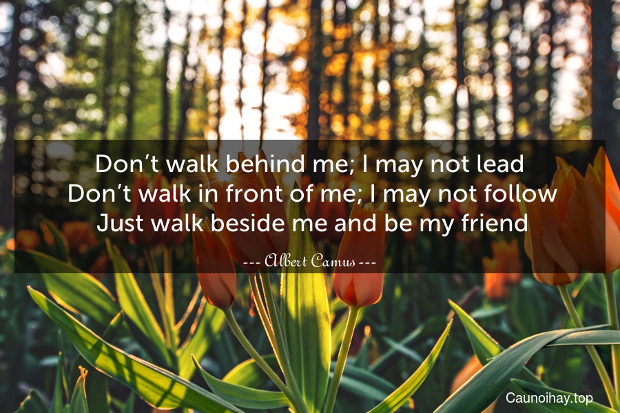 Don’t walk behind me; I may not lead. Don’t walk in front of me; I may not follow. Just walk beside me and be my friend.