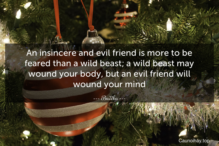 An insincere and evil friend is more to be feared than a wild beast; a wild beast may wound your body, but an evil friend will wound your mind.