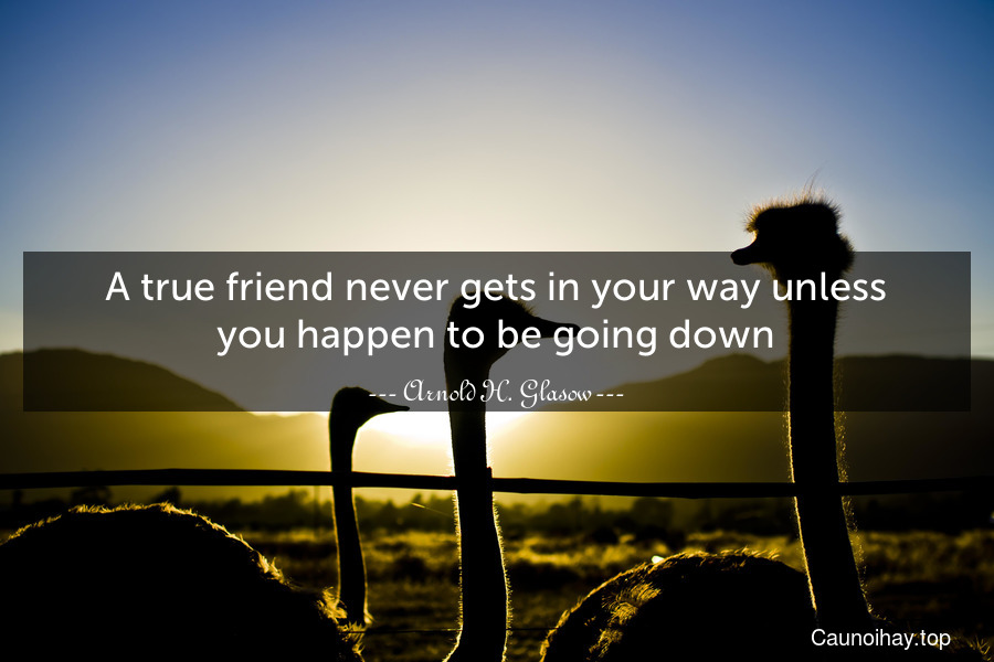 A true friend never gets in your way unless you happen to be going down.