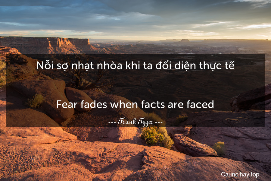 Nỗi sợ nhạt nhòa khi ta đối diện thực tế.
-
Fear fades when facts are faced.