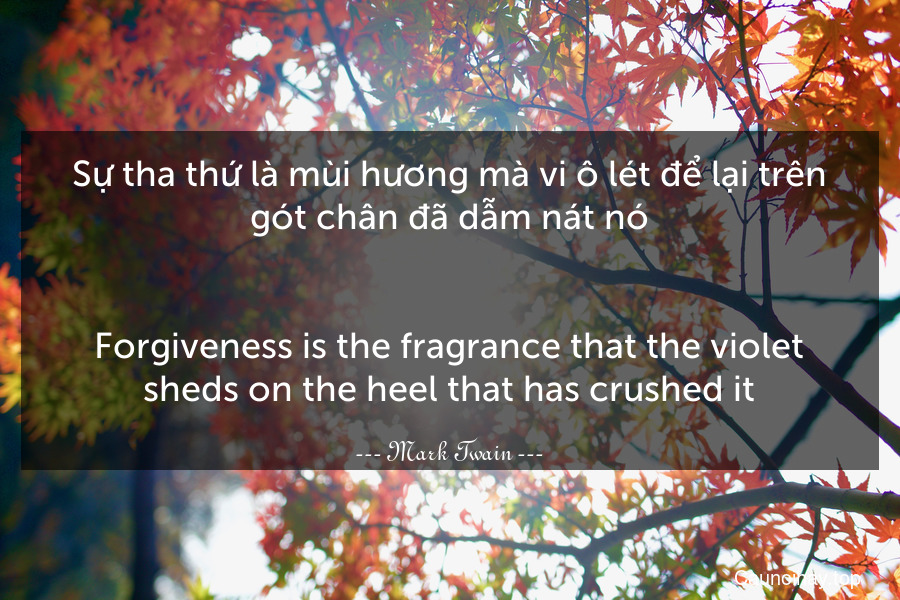 Sự tha thứ là mùi hương mà vi-ô-lét để lại trên gót chân đã dẫm nát nó.
-
Forgiveness is the fragrance that the violet sheds on the heel that has crushed it.
