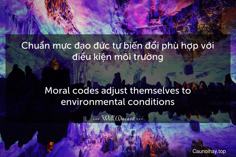 Chuẩn mực đạo đức tự biến đổi phù hợp với điều kiện môi trường.
-
Moral codes adjust themselves to environmental conditions.