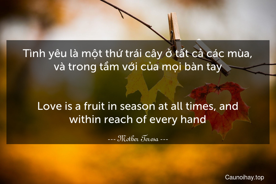 Tình yêu là một thứ trái cây ở tất cả các mùa, và trong tầm với của mọi bàn tay.
-
Love is a fruit in season at all times, and within reach of every hand.