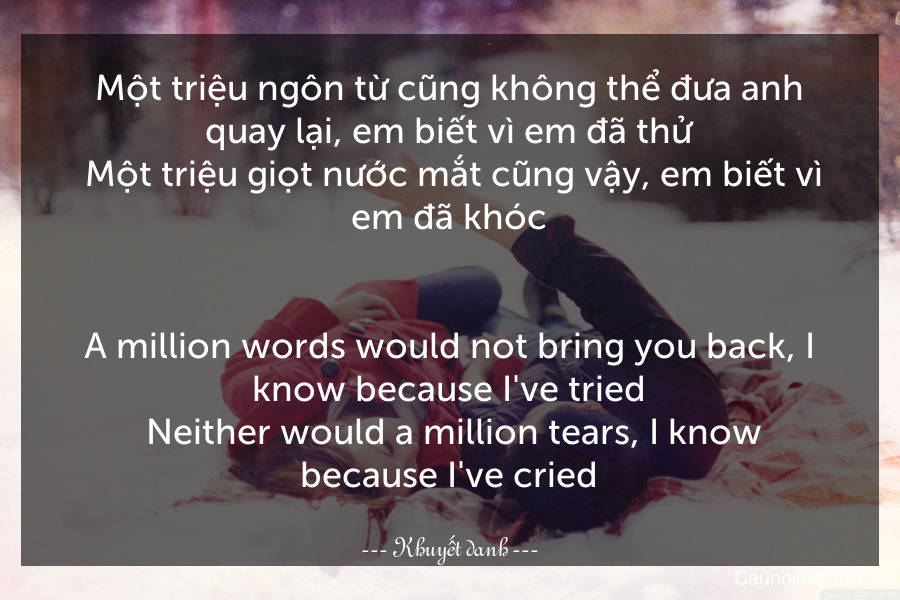 Một triệu ngôn từ cũng không thể đưa anh quay lại, em biết vì em đã thử. Một triệu giọt nước mắt cũng vậy, em biết vì em đã khóc.
-
A million words would not bring you back, I know because I've tried. Neither would a million tears, I know because I've cried.