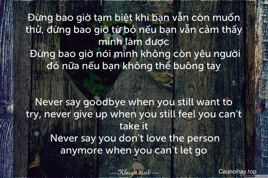 Đừng bao giờ tạm biệt khi bạn vẫn còn muốn thử, đừng bao giờ từ bỏ nếu bạn vẫn cảm thấy mình làm được. Đừng bao giờ nói mình không còn yêu người đó nữa nếu bạn không thể buông tay.
-
Never say goodbye when you still want to try, never give up when you still feel you can't take it. Never say you don't love the person anymore when you can't let go.