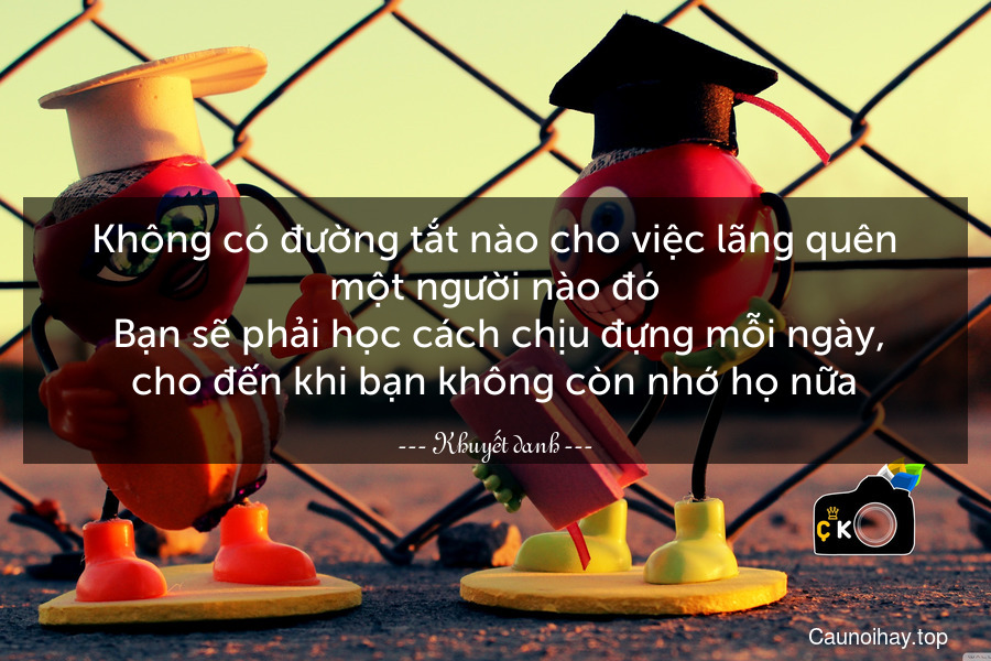 Không có đường tắt nào cho việc lãng quên một người nào đó. Bạn sẽ phải học cách chịu đựng mỗi ngày, cho đến khi bạn không còn nhớ họ nữa.