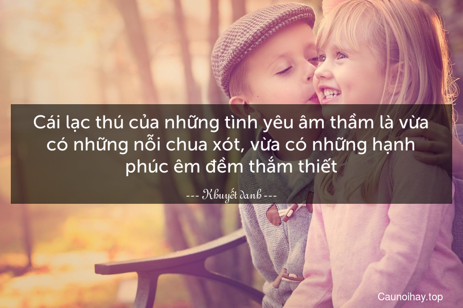 Cái lạc thú của những tình yêu âm thầm là vừa có những nỗi chua xót, vừa có những hạnh phúc êm đềm thắm thiết.