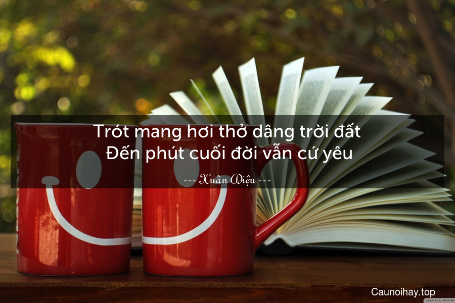 Trót mang hơi thở dâng trời đất. Đến phút cuối đời vẫn cứ yêu.