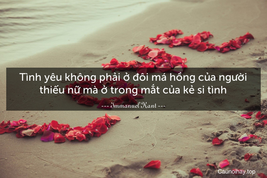 Tình yêu không phải ở đôi má hồng của người thiếu nữ mà ở trong mắt của kẻ si tình.