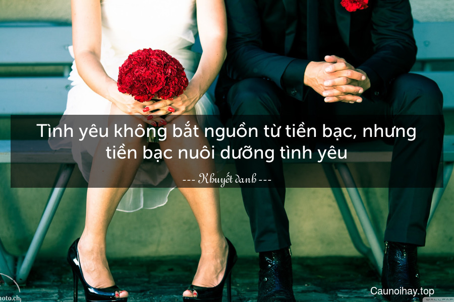 Tình yêu không bắt nguồn từ tiền bạc, nhưng tiền bạc nuôi dưỡng tình yêu.