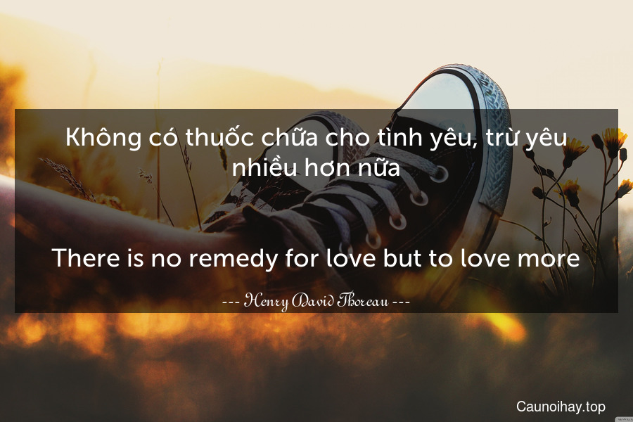 Không có thuốc chữa cho tình yêu, trừ yêu nhiều hơn nữa.
-
There is no remedy for love but to love more.