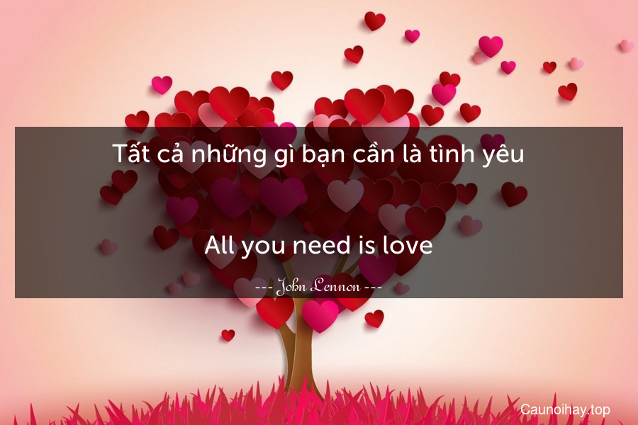 Tất cả những gì bạn cần là tình yêu.
-
All you need is love.