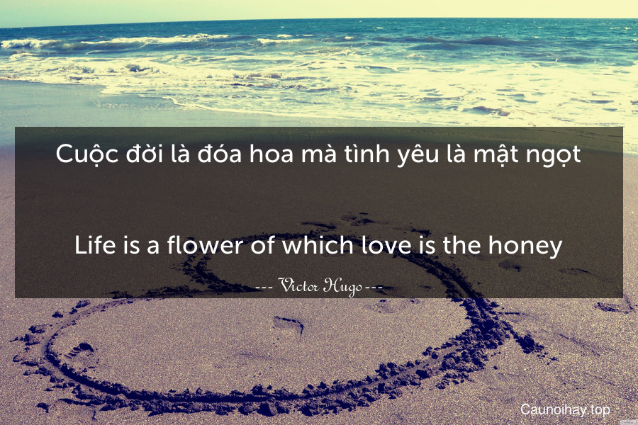 Cuộc đời là đóa hoa mà tình yêu là mật ngọt.
-
Life is a flower of which love is the honey.