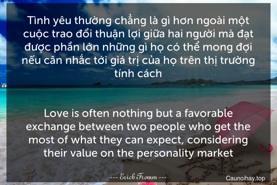 Tình yêu thường chẳng là gì hơn ngoài một cuộc trao đổi thuận lợi giữa hai người mà đạt được phần lớn những gì họ có thể mong đợi nếu cân nhắc tới giá trị của họ trên thị trường tính cách.
-
Love is often nothing but a favorable exchange between two people who get the most of what they can expect, considering their value on the personality market.