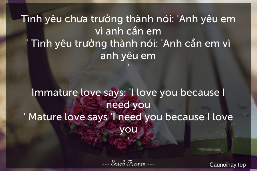 Tình yêu chưa trưởng thành nói: 