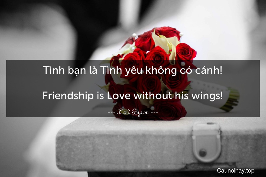 Tình bạn là Tình yêu không có cánh!
-
Friendship is Love without his wings!