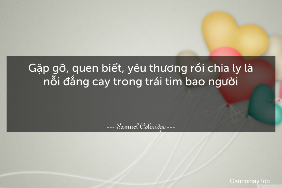 Gặp gỡ, quen biết, yêu thương rồi chia ly là nỗi đắng cay trong trái tim bao người.

 