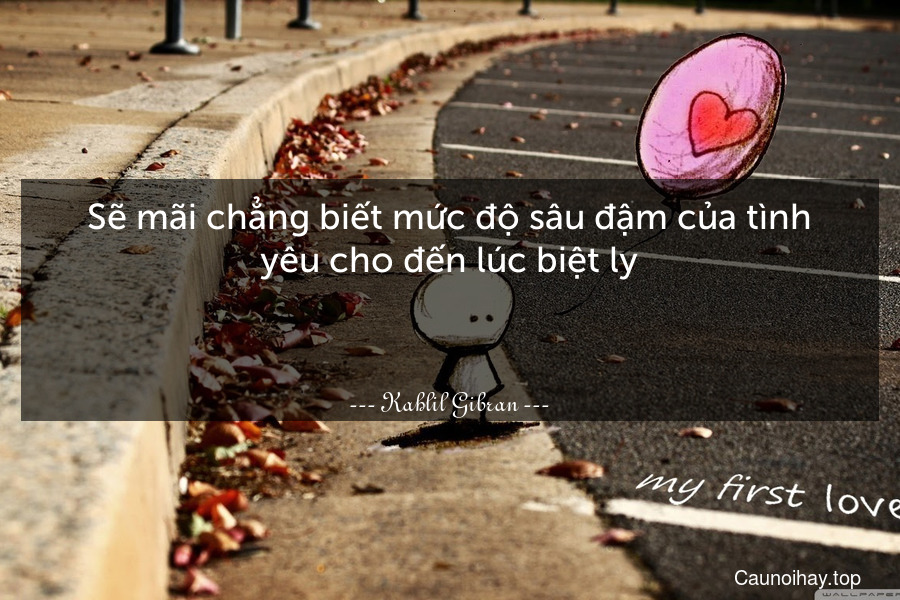 Sẽ mãi chẳng biết mức độ sâu đậm của tình yêu cho đến lúc biệt ly.

 