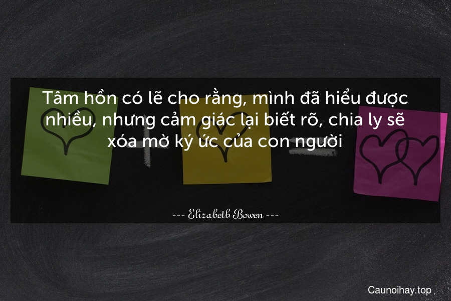 Tâm hồn có lẽ cho rằng, mình đã hiểu được nhiều, nhưng cảm giác lại biết rõ, chia ly sẽ xóa mờ ký ức của con người.

 