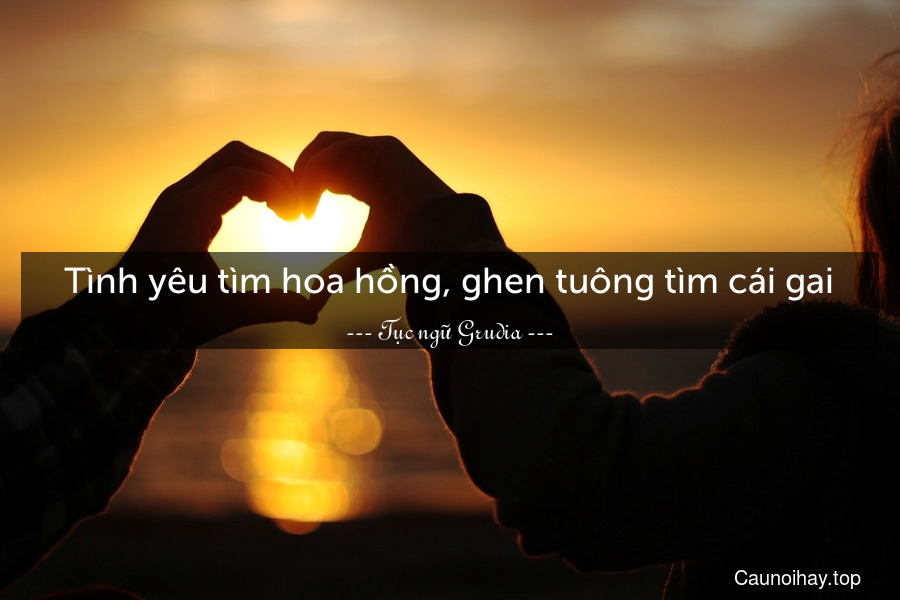 Tình yêu tìm hoa hồng, ghen tuông tìm cái gai.