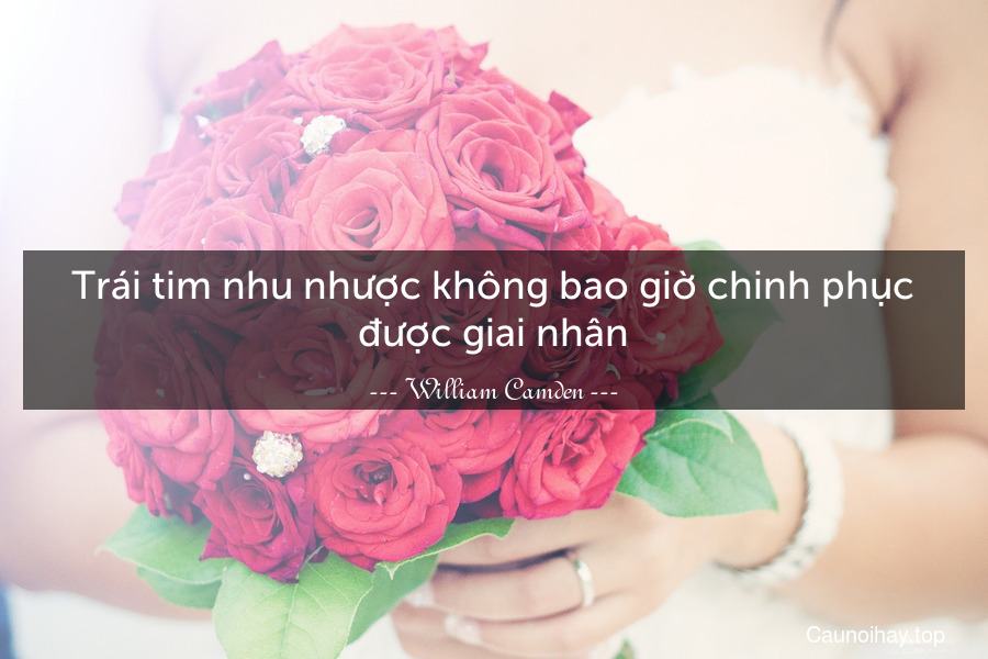 Trái tim nhu nhược không bao giờ chinh phục được giai nhân.