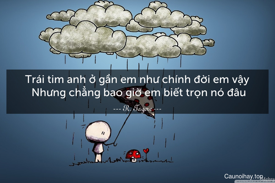 Trái tim anh ở gần em như chính đời em vậy. Nhưng chẳng bao giờ em biết trọn nó đâu.