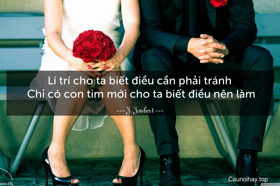 Lí trí cho ta biết điều cần phải tránh. Chỉ có con tim mới cho ta biết điều nên làm.