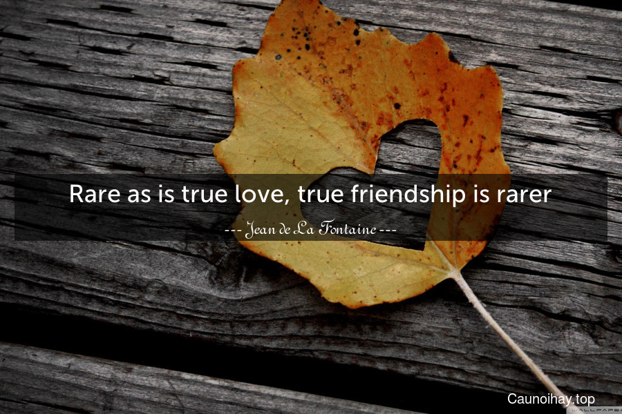 Rare as is true love, true friendship is rarer.