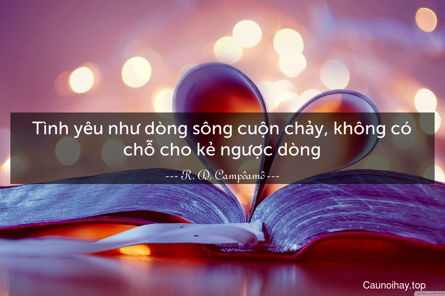 Tình yêu như dòng sông cuộn chảy, không có chỗ cho kẻ ngược dòng.