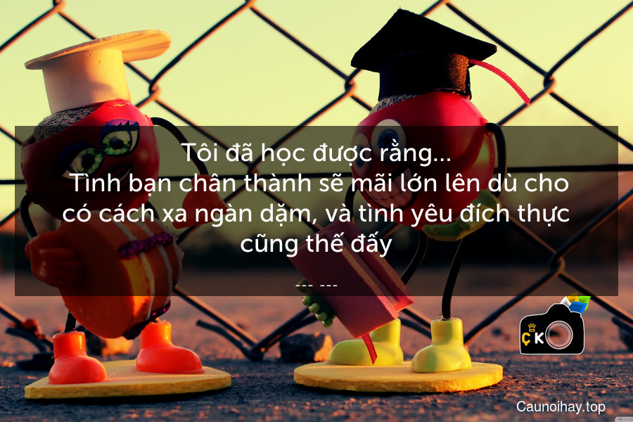 Tôi đã học được rằng…
 Tình bạn chân thành sẽ mãi lớn lên dù cho có cách xa ngàn dặm, và tình yêu đích thực cũng thế đấy.