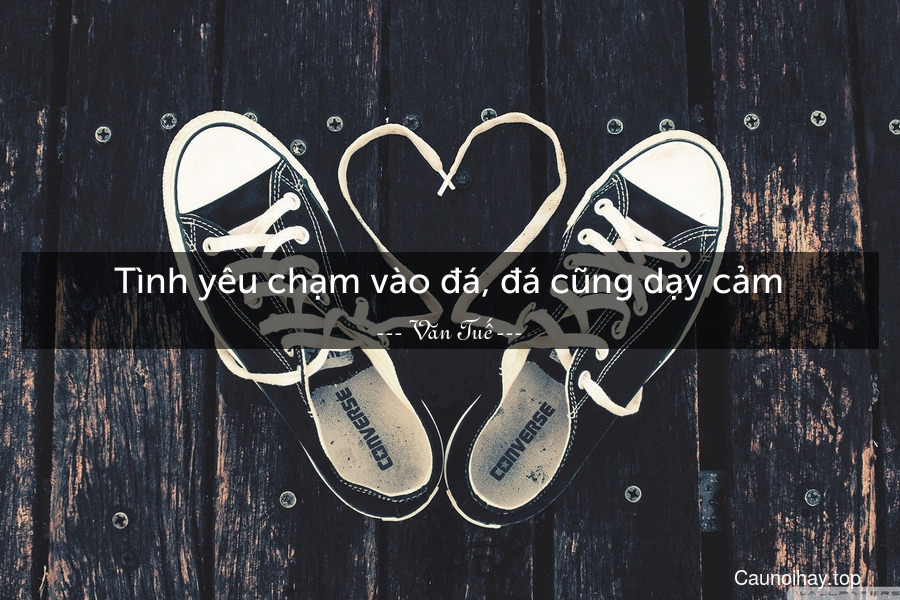 Tình yêu chạm vào đá, đá cũng dạy cảm.