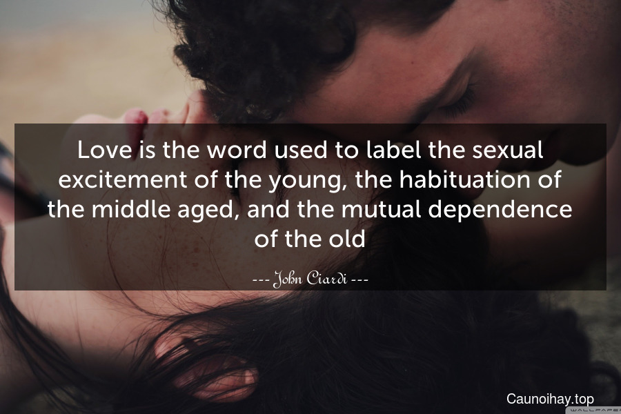 Love is the word used to label the sexual excitement of the young, the habituation of the middle-aged, and the mutual dependence of the old.