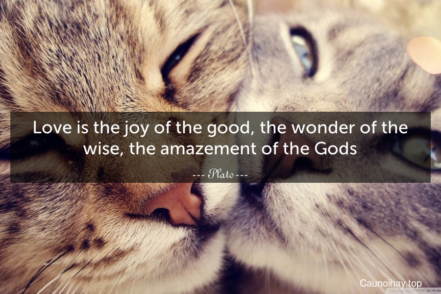 Love is the joy of the good, the wonder of the wise, the amazement of the Gods.