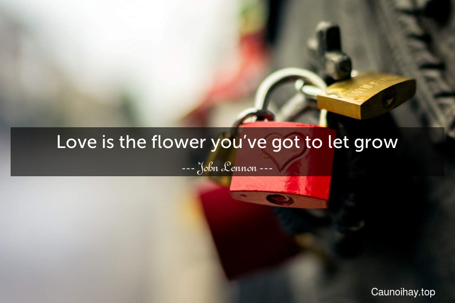 Love is the flower you’ve got to let grow.