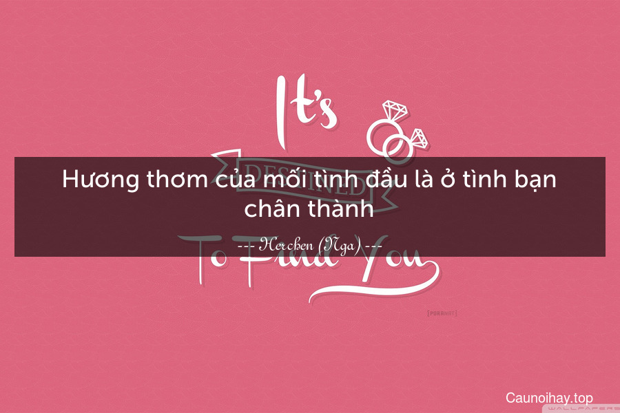 Hương thơm của mối tình đầu là ở tình bạn chân thành.