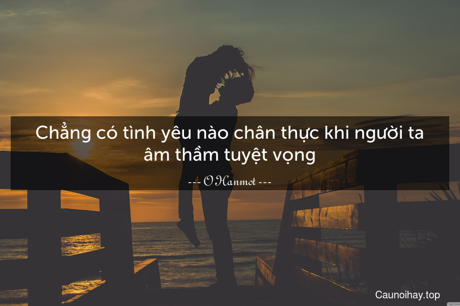 Chẳng có tình yêu nào chân thực khi người ta âm thầm tuyệt vọng.