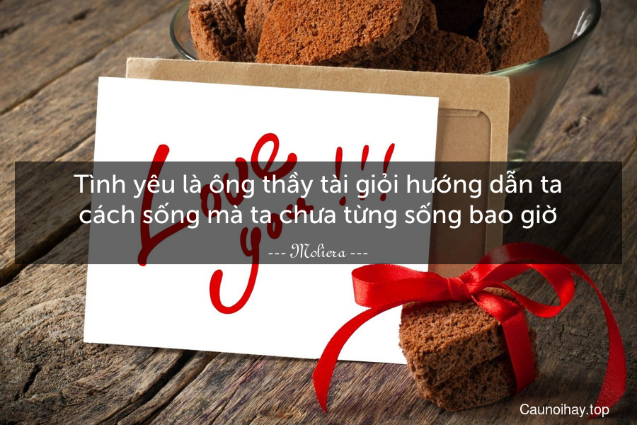 Tình yêu là ông thầy tài giỏi hướng dẫn ta cách sống mà ta chưa từng sống bao giờ.