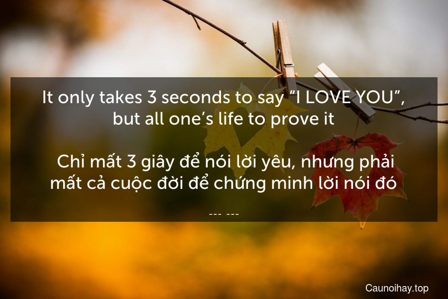 It only takes 3 seconds to say “I LOVE YOU”, but all one’s life to prove it.
 Chỉ mất 3 giây để nói lời yêu, nhưng phải mất cả cuộc đời để chứng minh lời nói đó.