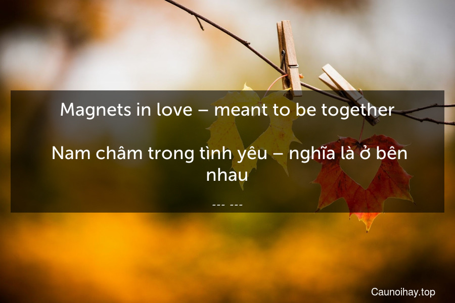 Magnets in love – meant to be together.
 Nam châm trong tình yêu – nghĩa là ở bên nhau.