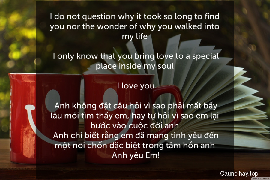 I do not question why it took so long to find you nor the wonder of why you walked into my life.
 I only know that you bring love to a special place inside my soul.
 I love you.
 Anh không đặt câu hỏi vì sao phải mất bấy lâu mới tìm thấy em, hay tự hỏi vì sao em lại bước vào cuộc đời anh. Anh chỉ biết rằng em đã mang tình yêu đến một nơi chốn đặc biệt trong tâm hồn anh. Anh yêu Em!