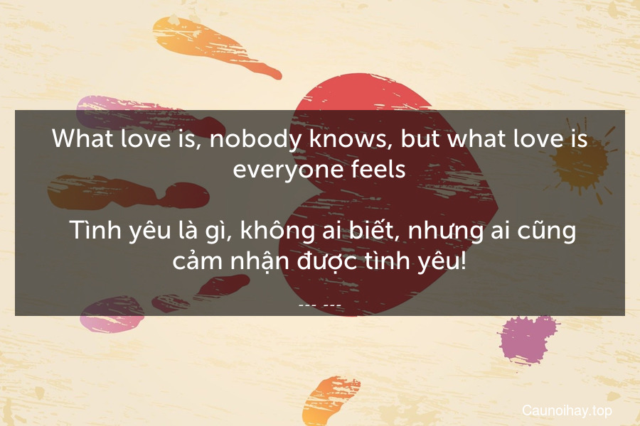 What love is, nobody knows, but what love is everyone feels.
 Tình yêu là gì, không ai biết, nhưng ai cũng cảm nhận được tình yêu!