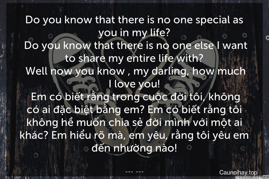 Do you know that there is no one special as you in my life?
 Do you know that there is no one else I want to share my entire life with?
 Well now you know , my darling, how much I love you!
 Em có biết rằng trong cuộc đời tôi, không có ai đặc biệt bằng em? Em có biết rằng tôi không hề muốn chia sẻ đời mình với một ai khác? Em hiểu rõ mà, em yêu, rằng tôi yêu em đến nhường nào!