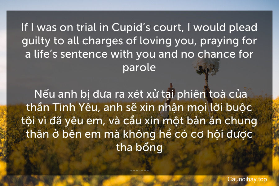 If I was on trial in Cupid’s court, I would plead guilty to all charges of loving you, praying for a life’s sentence with you and no chance for parole.
 Nếu anh bị đưa ra xét xử tại phiên toà của thần Tình Yêu, anh sẽ xin nhận mọi lời buộc tội vì đã yêu em, và cầu xin một bản án chung thân ở bên em mà không hề có cơ hội được tha bổng.