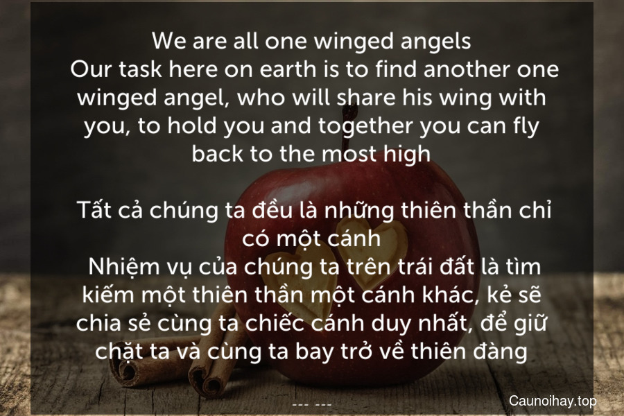 We are all one-winged angels. Our task here on earth is to find another one-winged angel, who will share his wing with you, to hold you and together you can fly back to the most high.
 Tất cả chúng ta đều là những thiên thần chỉ có một cánh. Nhiệm vụ của chúng ta trên trái đất là tìm kiếm một thiên thần một cánh khác, kẻ sẽ chia sẻ cùng ta chiếc cánh duy nhất, để giữ chặt ta và cùng ta bay trở về thiên đàng.